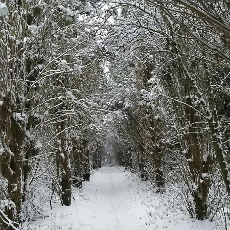 House Near Fishing Waters Prázdninový dům