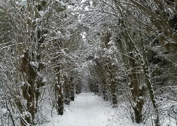 House Near Fishing Waters בית נופש