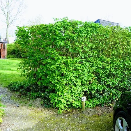 House Near Fishing Waters Oude-Tonge