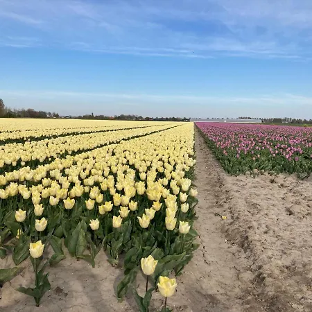 House Near Fishing Waters Дом отдыха Oude-Tonge